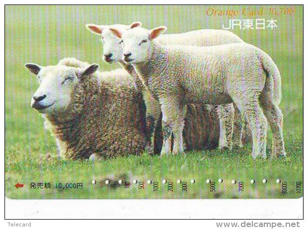 CARTE PREPAYEE JAPON * MOUTON * TK * SCHAF (360) SHEEP SCHAAP  GOAT STEENBOK * Phonecard - Zodiaque
