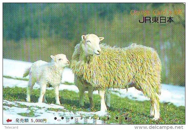 CARTE PREPAYEE JAPON * MOUTON * TK * SCHAF (362) SHEEP SCHAAP  GOAT STEENBOK * Phonecard - Zodiaque