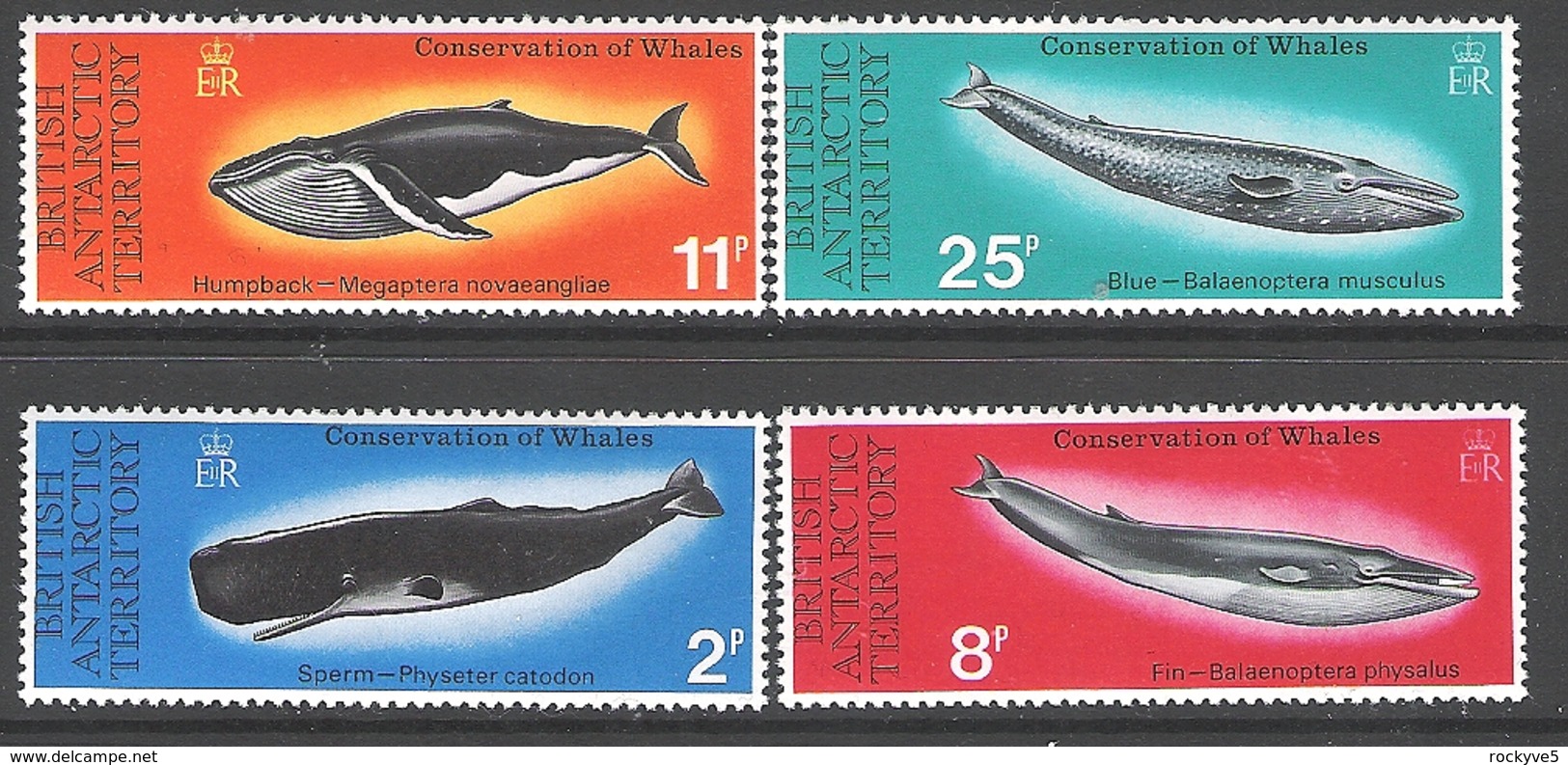 British Antarctic Territory 1977 Whale Conservation MNH £26.50 - Wale