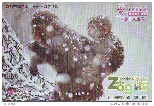 Carte Prépayée Japon * SINGE * TK  AFFE (776) MONKEY * CARD - Zodiaque