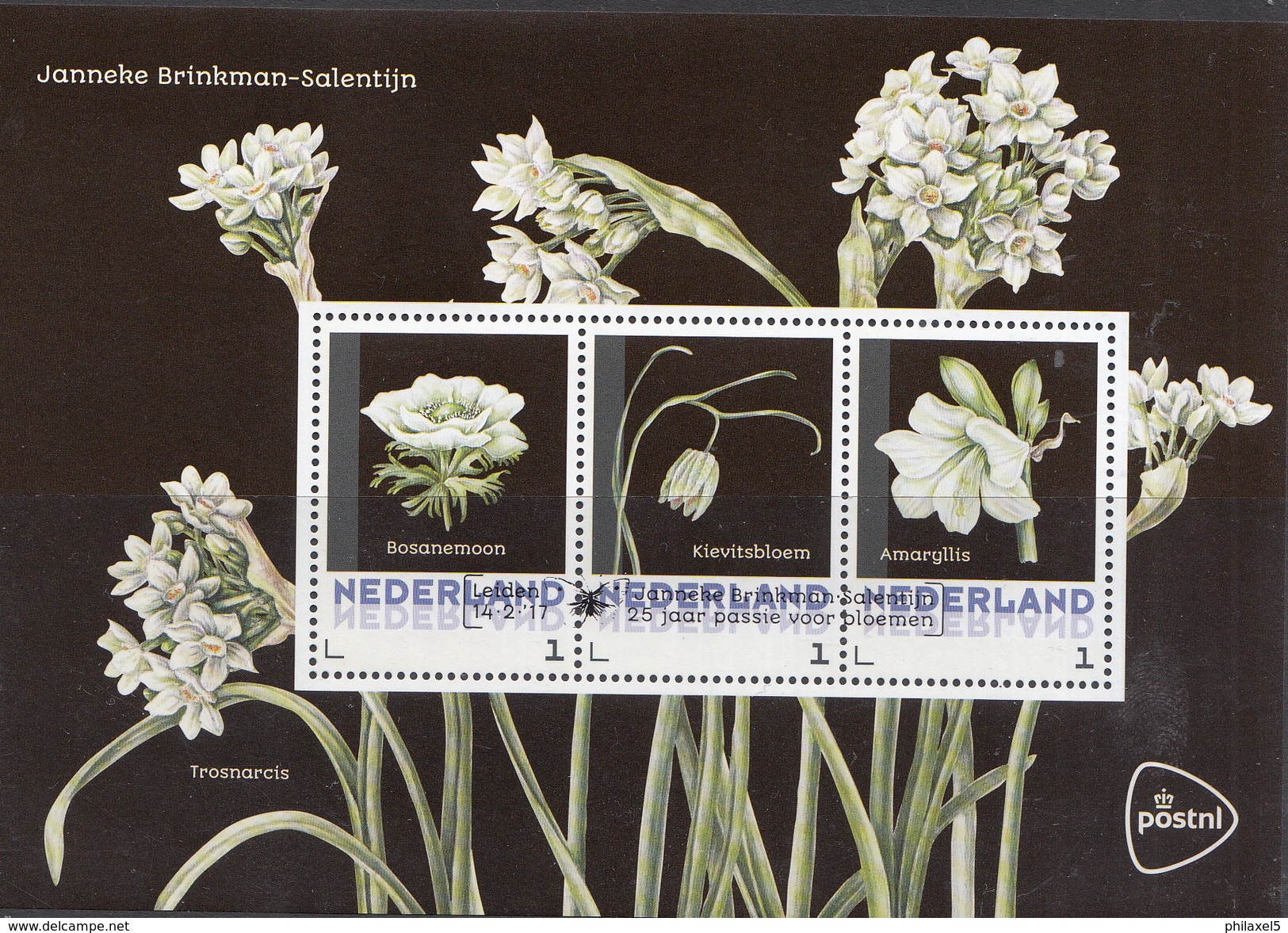 Nederland - Postset Janneke Brinkman - Bloemen - Bosanemoon/kievitsbloem/amaryllis - Stempel Leiden 14-02-'17 -3 Kaarten - Personnalized Stamps