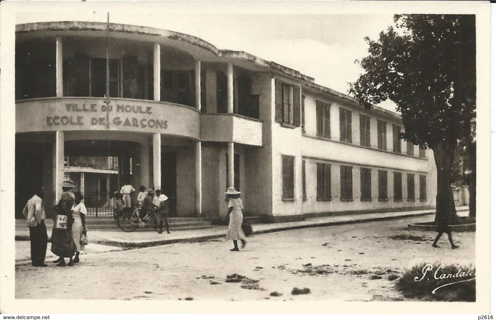 FRANCE-  GUADELOUPE -  LE MOULE -  ECOLE DE GARCONS - Autres & Non Classés