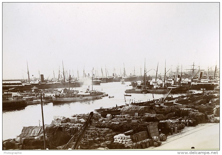 France Port De Marseille Les Bassins De La Joliette Ancienne Photo Jusniaux 1895 - Old (before 1900)