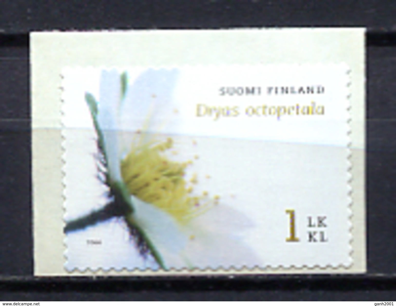 Finland 2006 Finlandia  / Flowers MNH Flores Blumen Fleurs / Cu1938  31 - Sonstige & Ohne Zuordnung