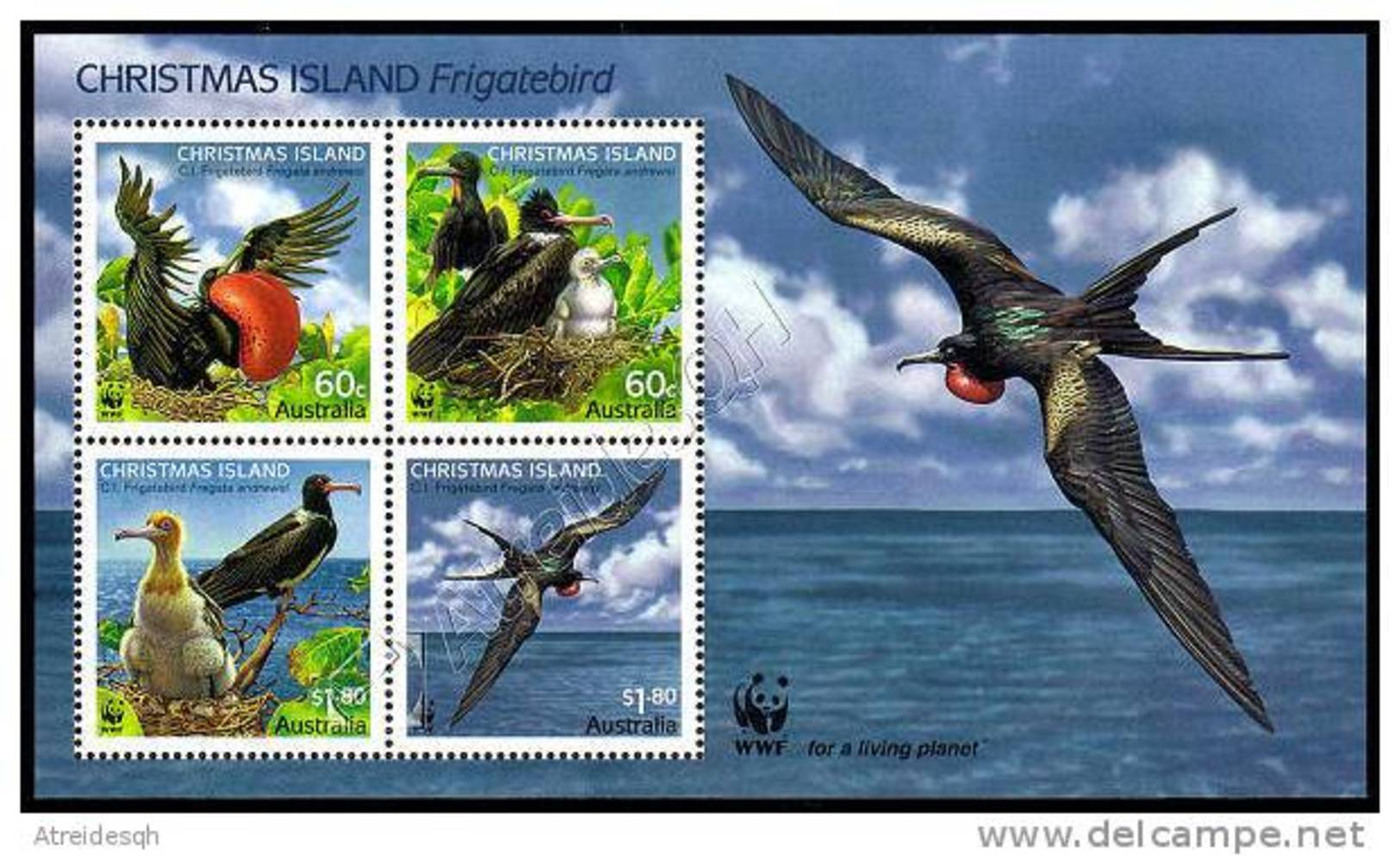 Australia (Christmas Island) 2010: Foglietto WWF Fregata / WWF Frigatebird S/S ** - Nuovi