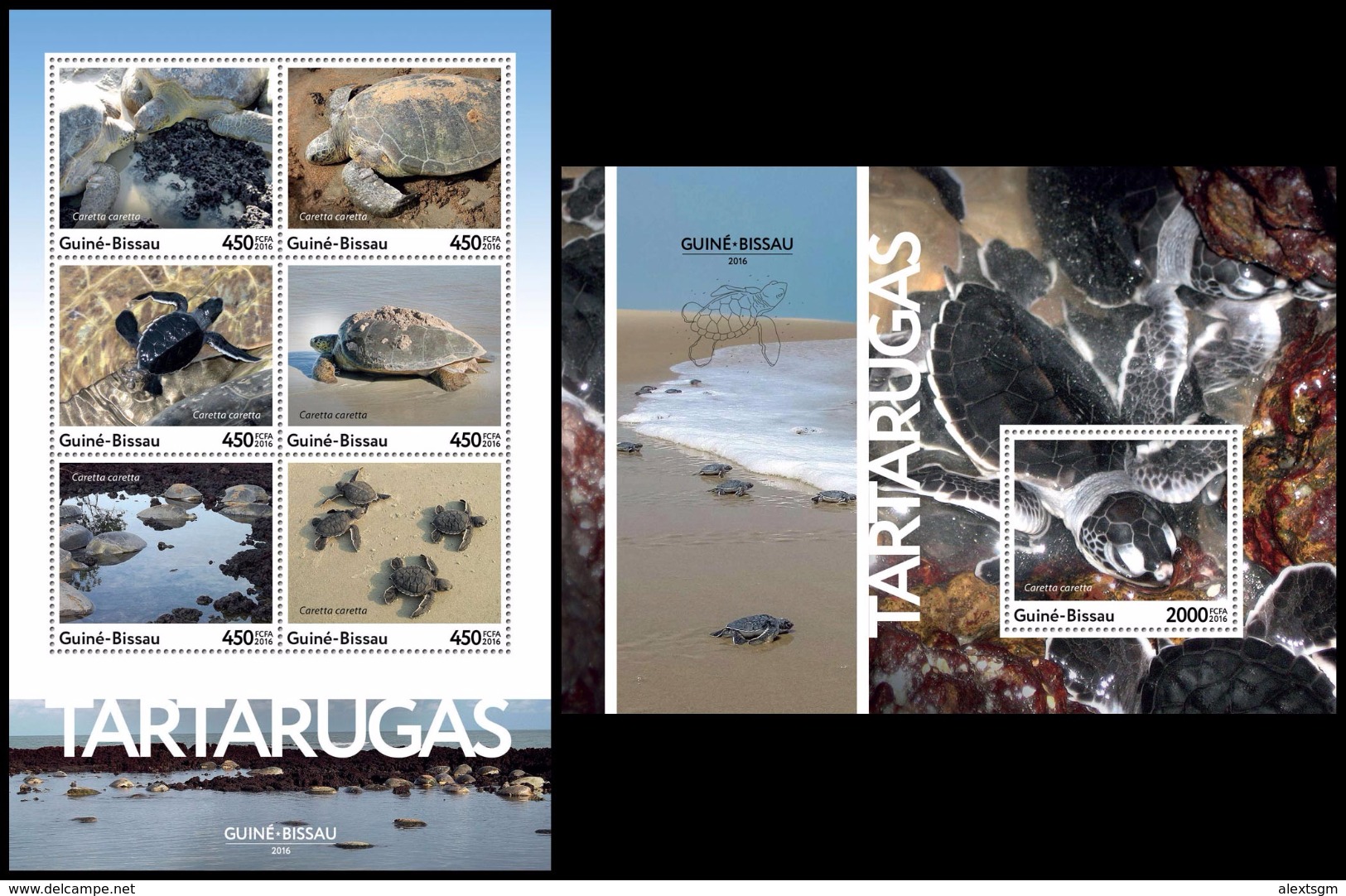 GUINEA BISSAU 2016 - Turtles, M/S + S/S. Official Issue - Schildkröten