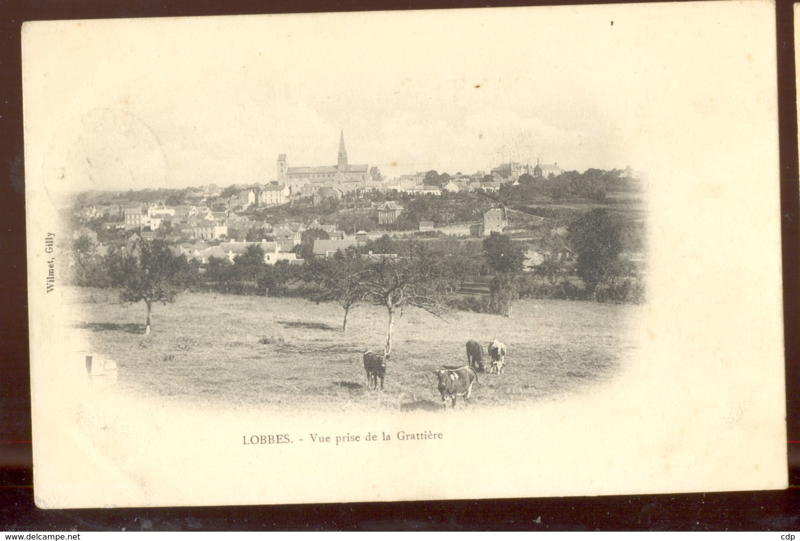 Cpa Lobbes   Vaches   1904 - Lobbes