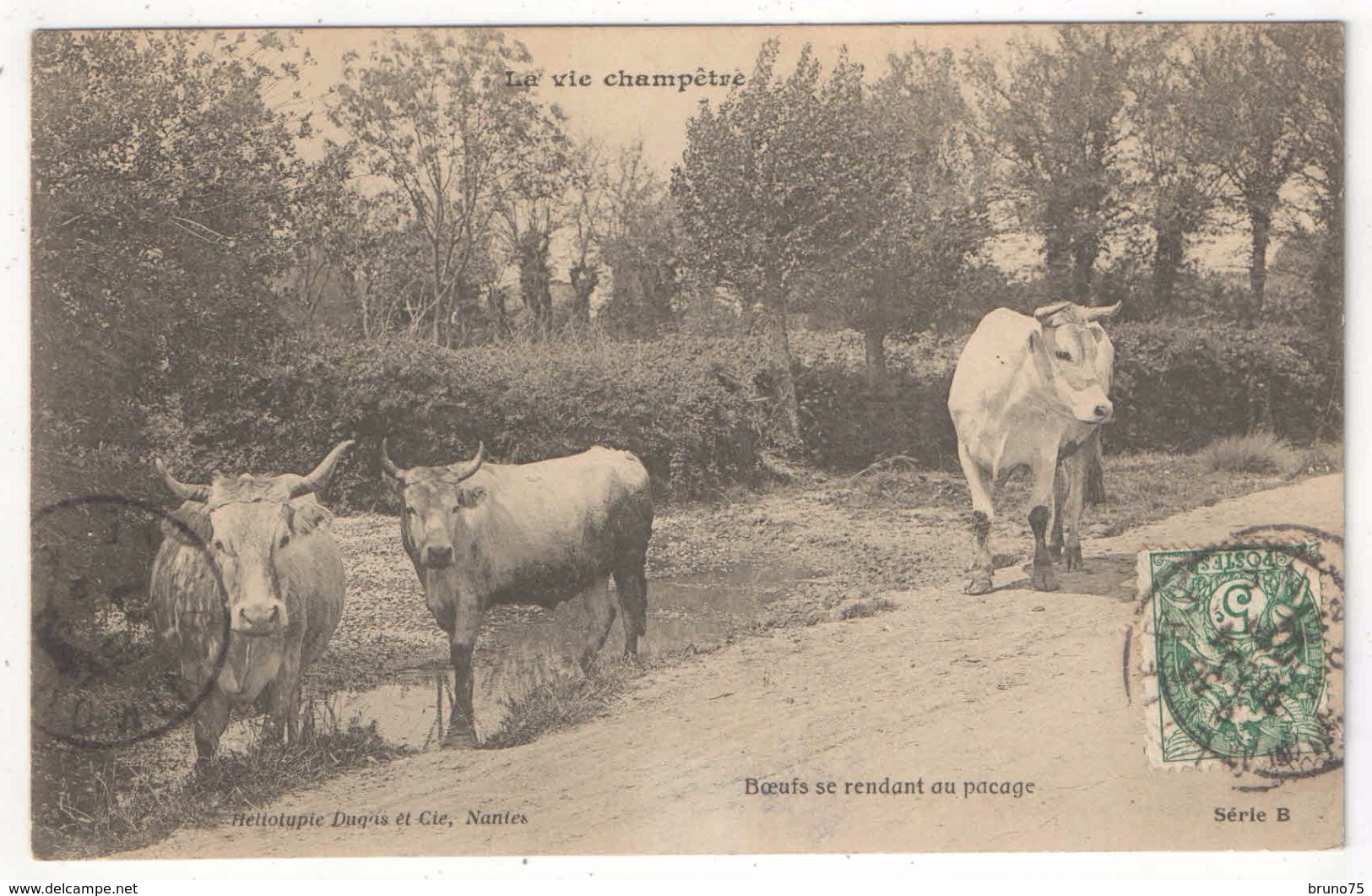 La Vie Champêtre - Boeufs Se Rendant Au Pacage - Dugas Série B - Elevage