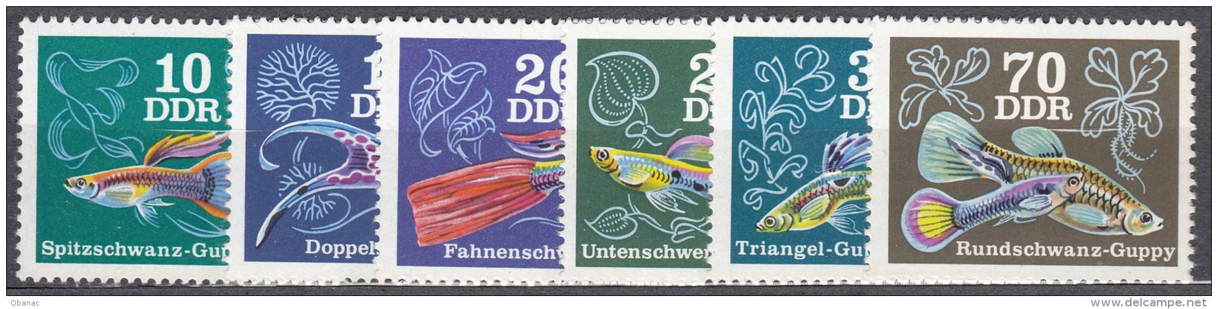 Germany DDR 1976 Guppi Tropical Fisch Mi#2176-2181 Mint Never Hinged - Ungebraucht