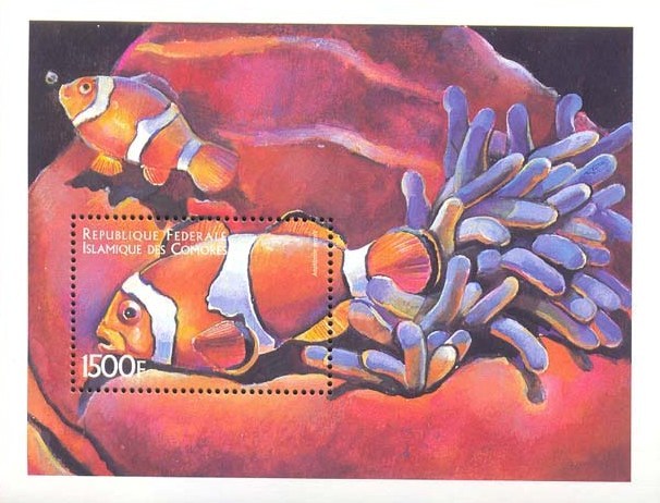 COMORES   876  MINT NEVER HINGED SOUVENIR SHEET OF FISH-MARINE LIFE  #   112-4  ( - Fische