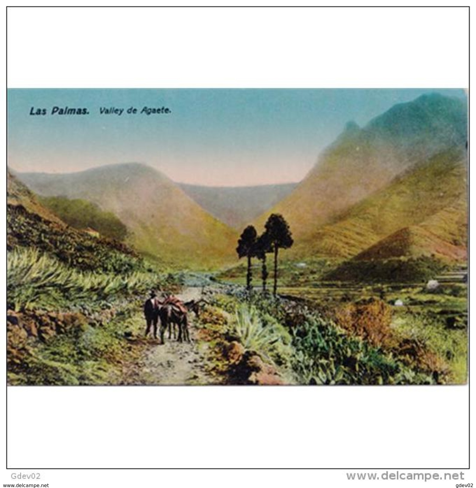 LPMTP7935CPA-LFTD9075TABU.Tarjeta Postal De GRAN CANARIAS.Casas,campo,arboles,BURROS,burrero Y El VALLE DE AGAETE - Burros