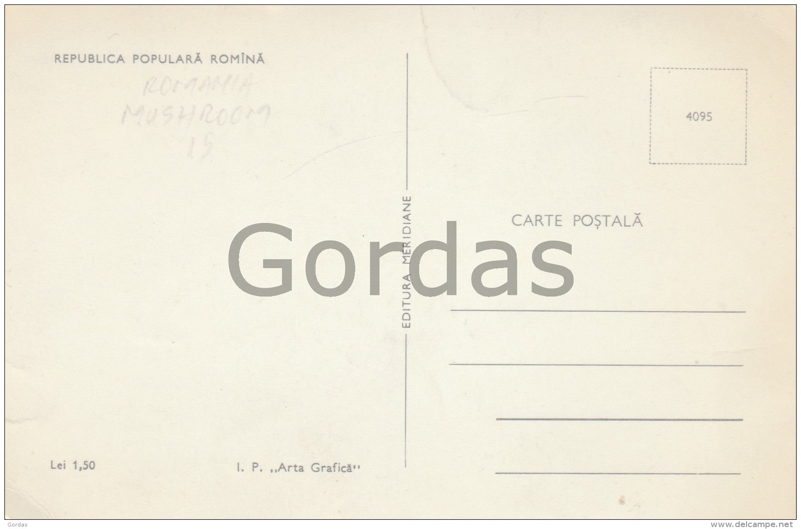 Romania - Mushroom - Pilze