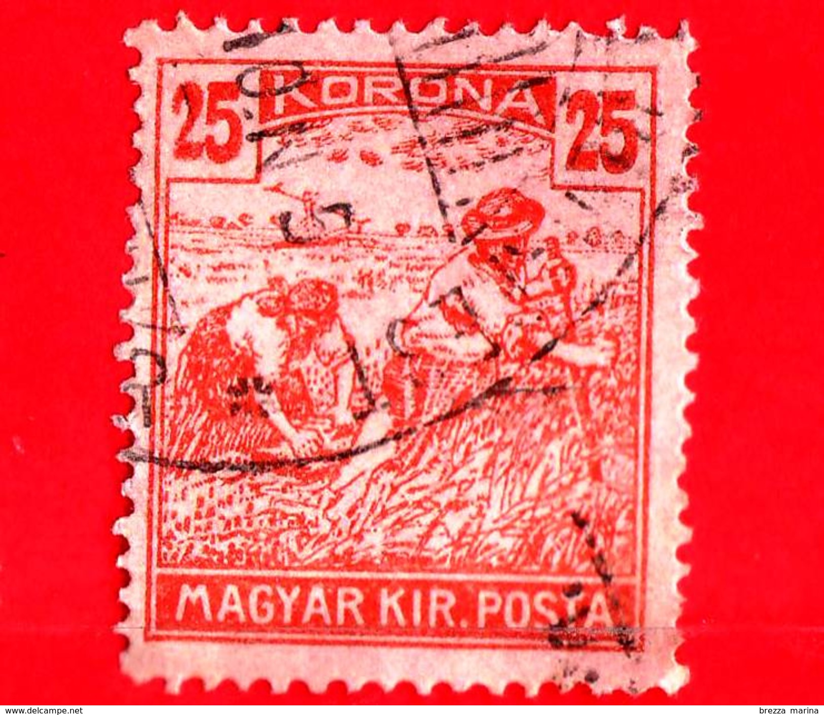 UNGHERIA - Usato - 1923 - Agricoltura - Raccolti - Mietitore - 25 - Used Stamps