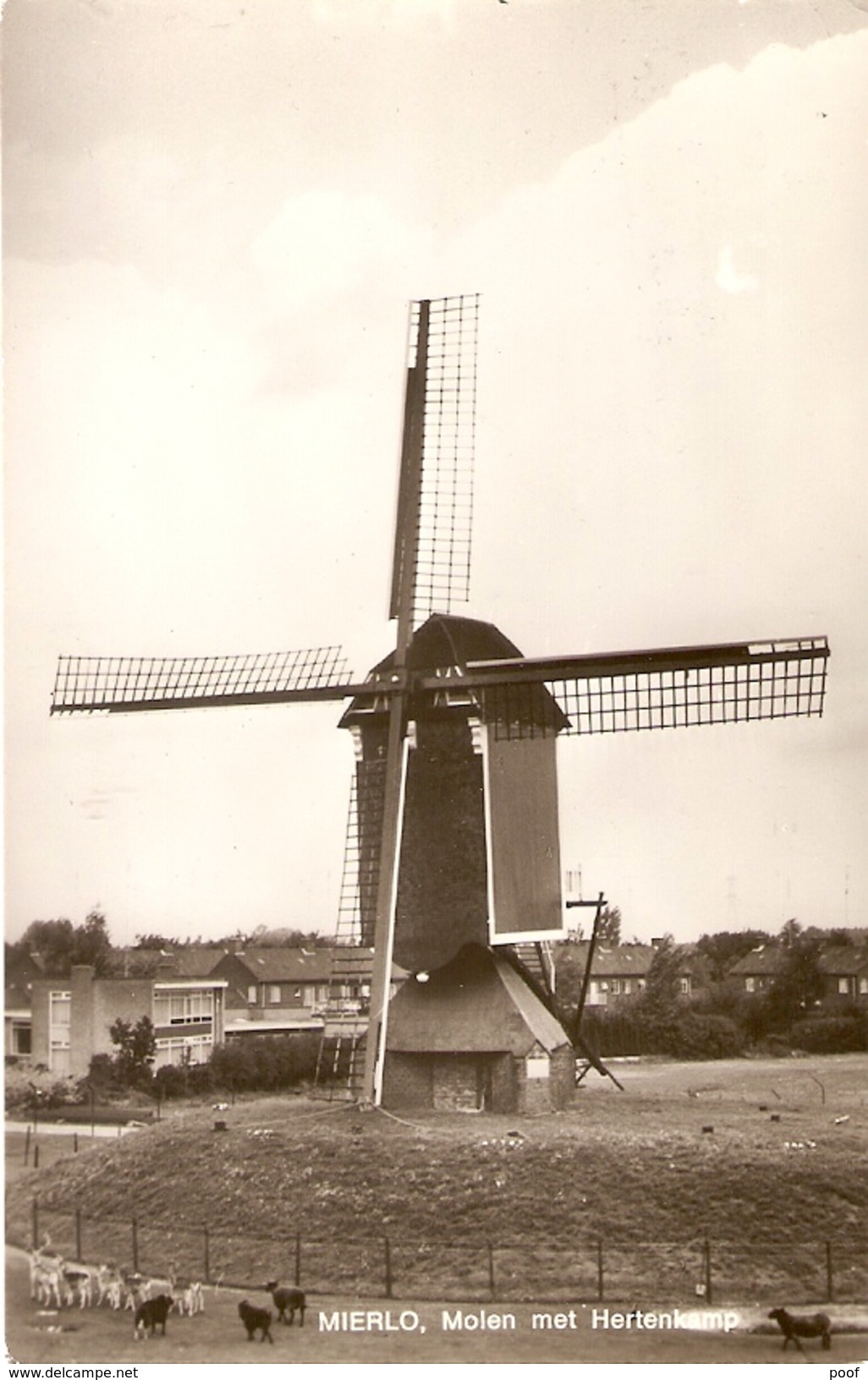 Mierlo : Molen Met Hertenkamp - Geldrop