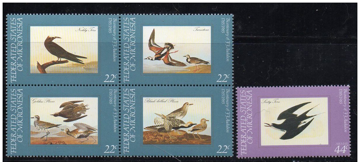 Micronesia 28a + C15 Birds Block + Single MNH - Flamingos