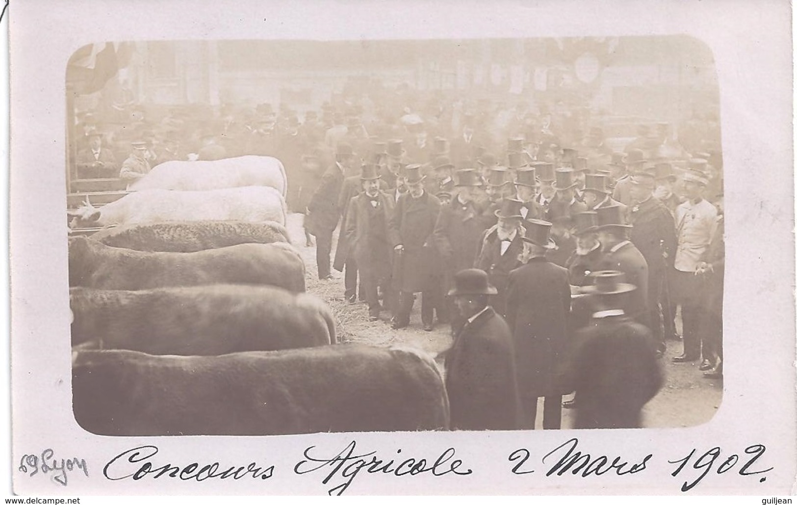 69 - CARTE PHOTO Datée " Concours Agricole 2 Mars 1902 " - Edit. Société Lumière, Lyon - Autres & Non Classés