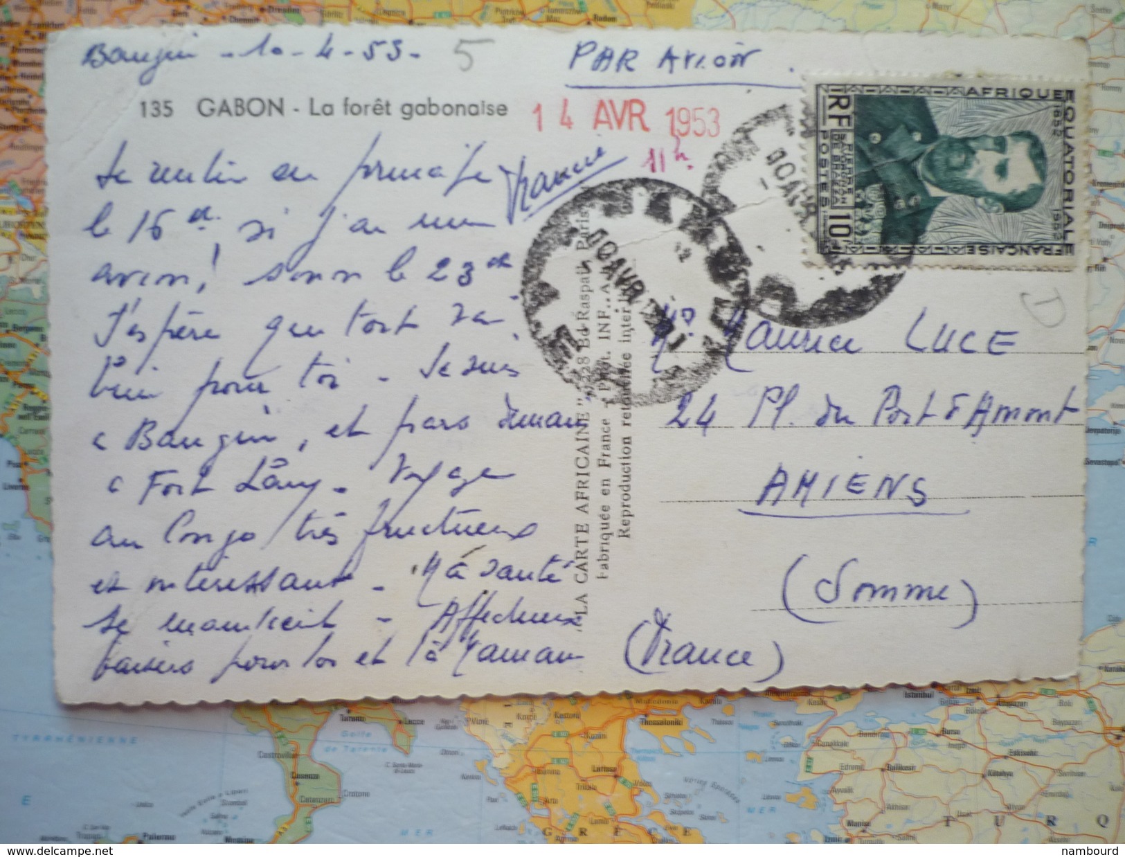 La Fôret Gabonaise - Gabun