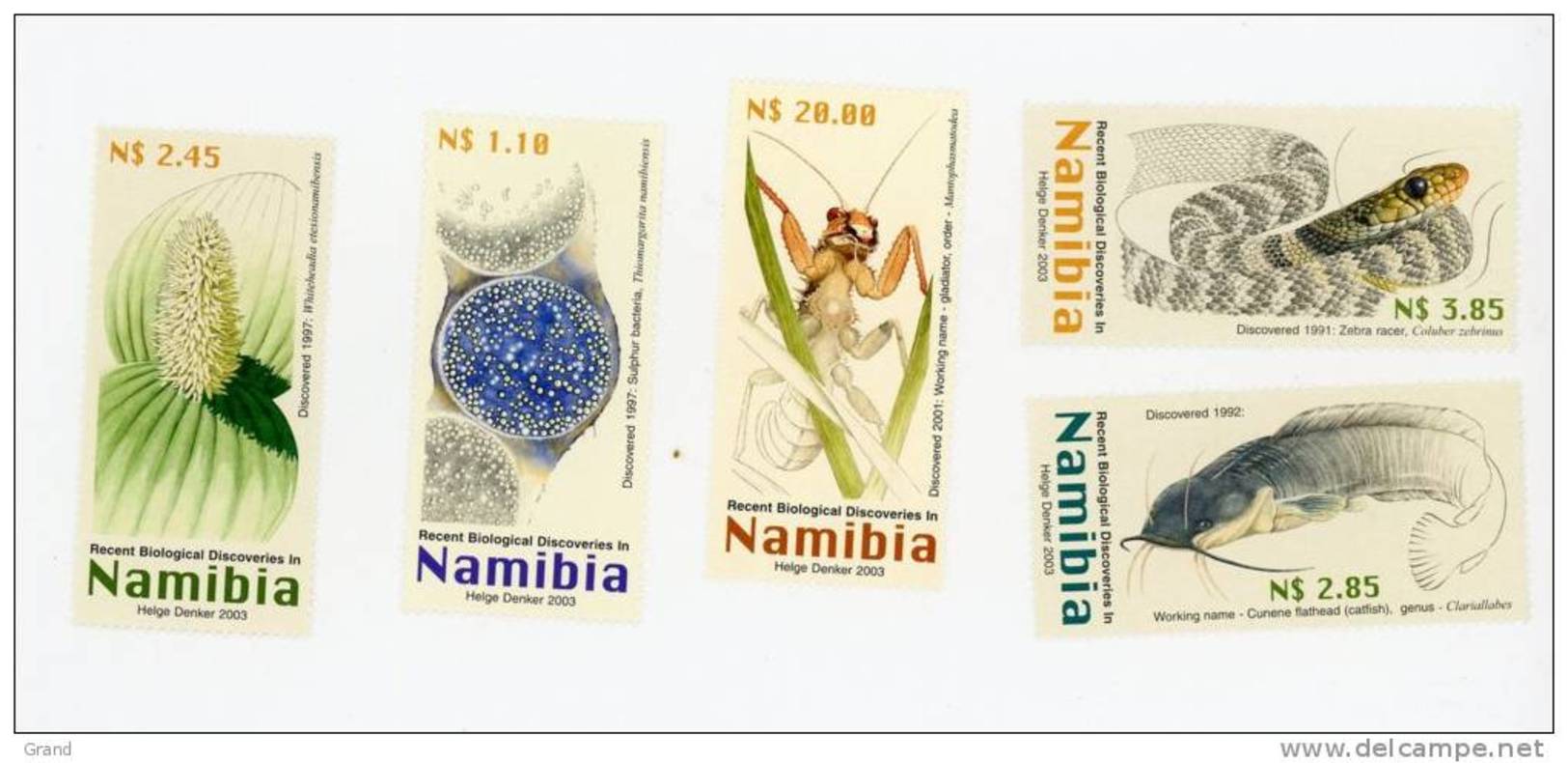 Namibie 2003-Découverte Biologique-Poison Chat-Insecte Gladiateur-flore-bactérie -YT 988/92***MNH - Namibia (1990- ...)