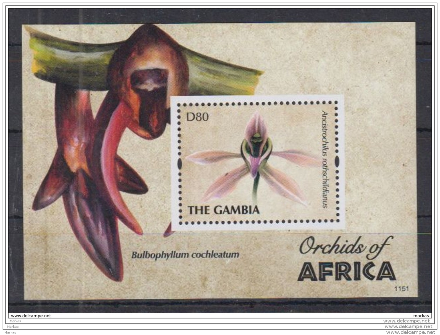 R31 Gambia - MNH - Plants - Flowers - 2011 - Sonstige & Ohne Zuordnung