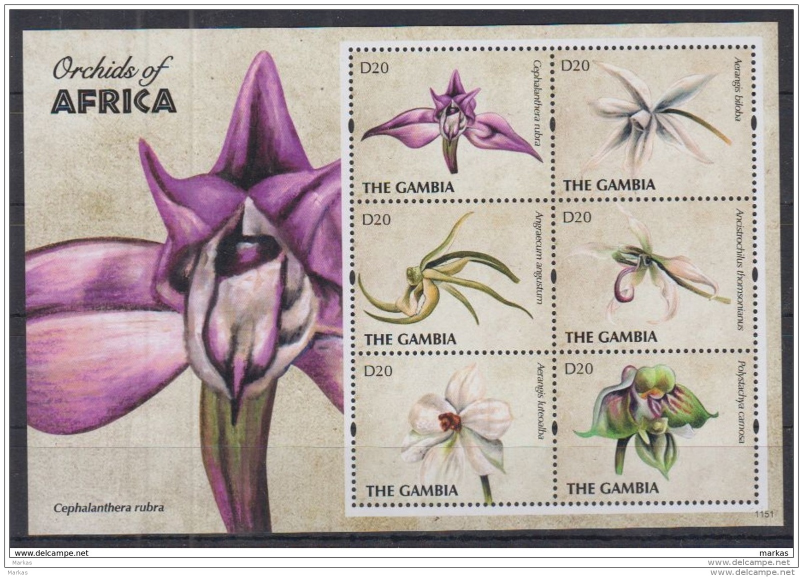 R31 Gambia - MNH - Plants - Flowers - 2011 - Sonstige & Ohne Zuordnung