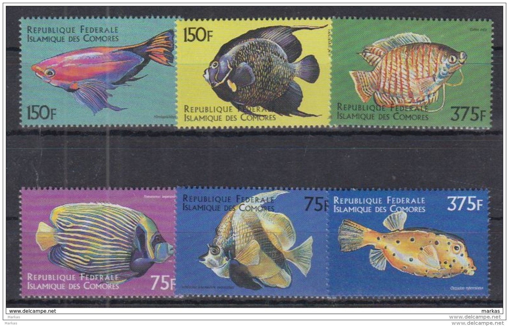 T31 Comoros - MNH - Marine Life - Meereswelt