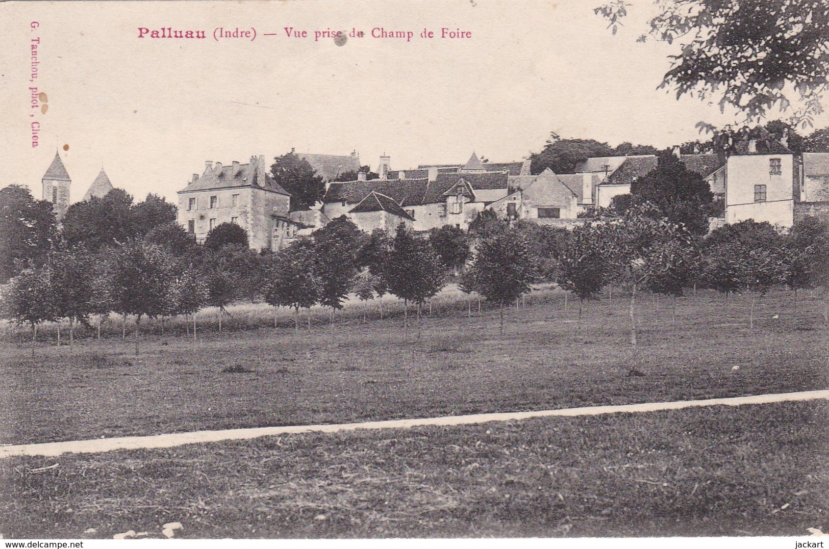 PALLUAU VUE PRISE DU CHAMP DE FOIRE - Autres & Non Classés