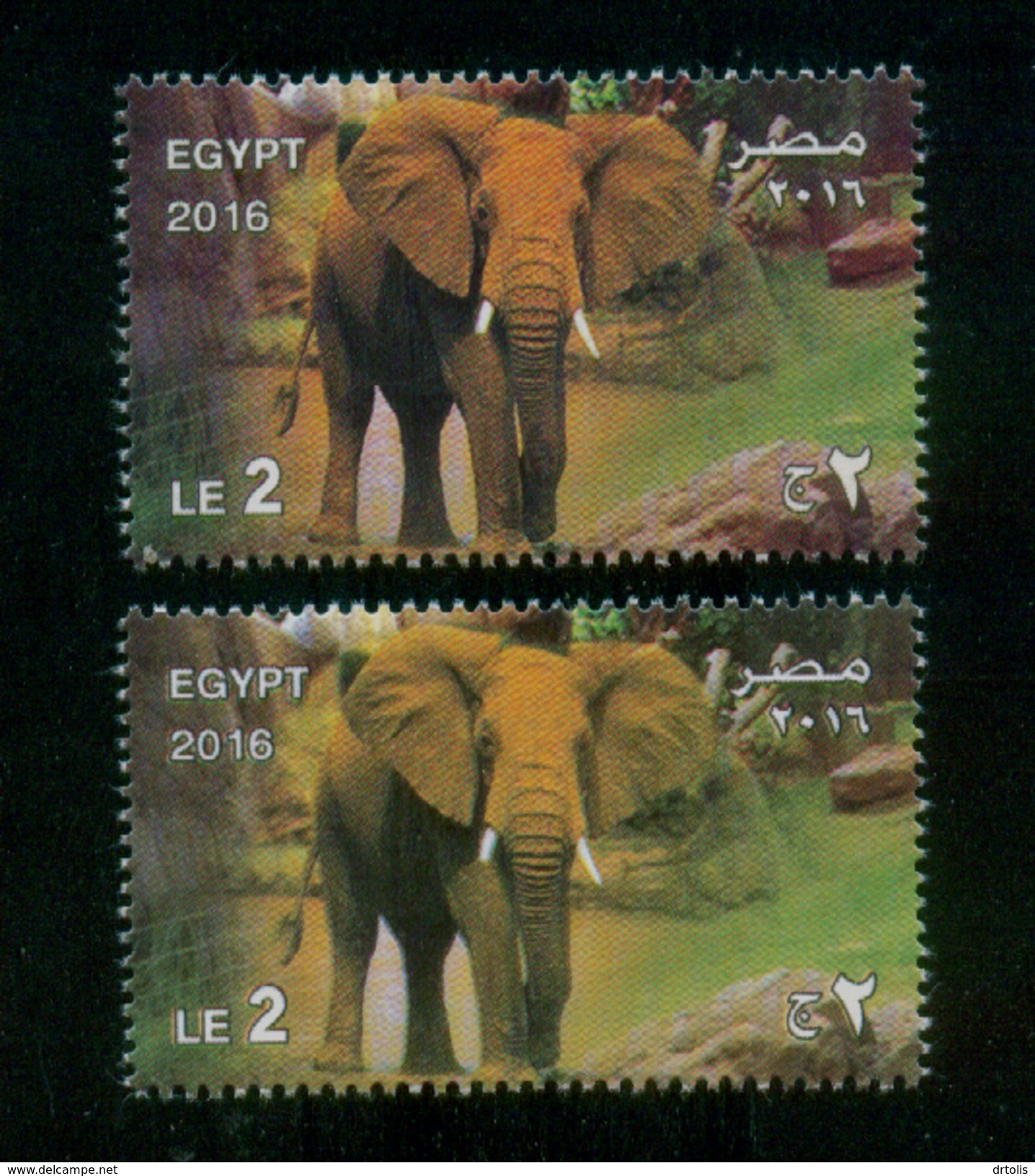 EGYPT / 2016 / GIZA ZOO ; 125 YEARS / ANIMALS / ELEPHANT / RARE COLOR VARIETY / MNH / VF - Ungebraucht