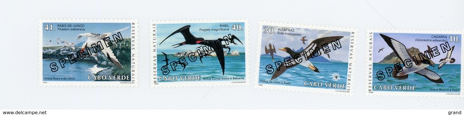 Cap Vert-Cabo Verde-1993-SPECIMEN-Oiseaux De Mer-Frégate Et Autres-639/42***MNH- - Kap Verde