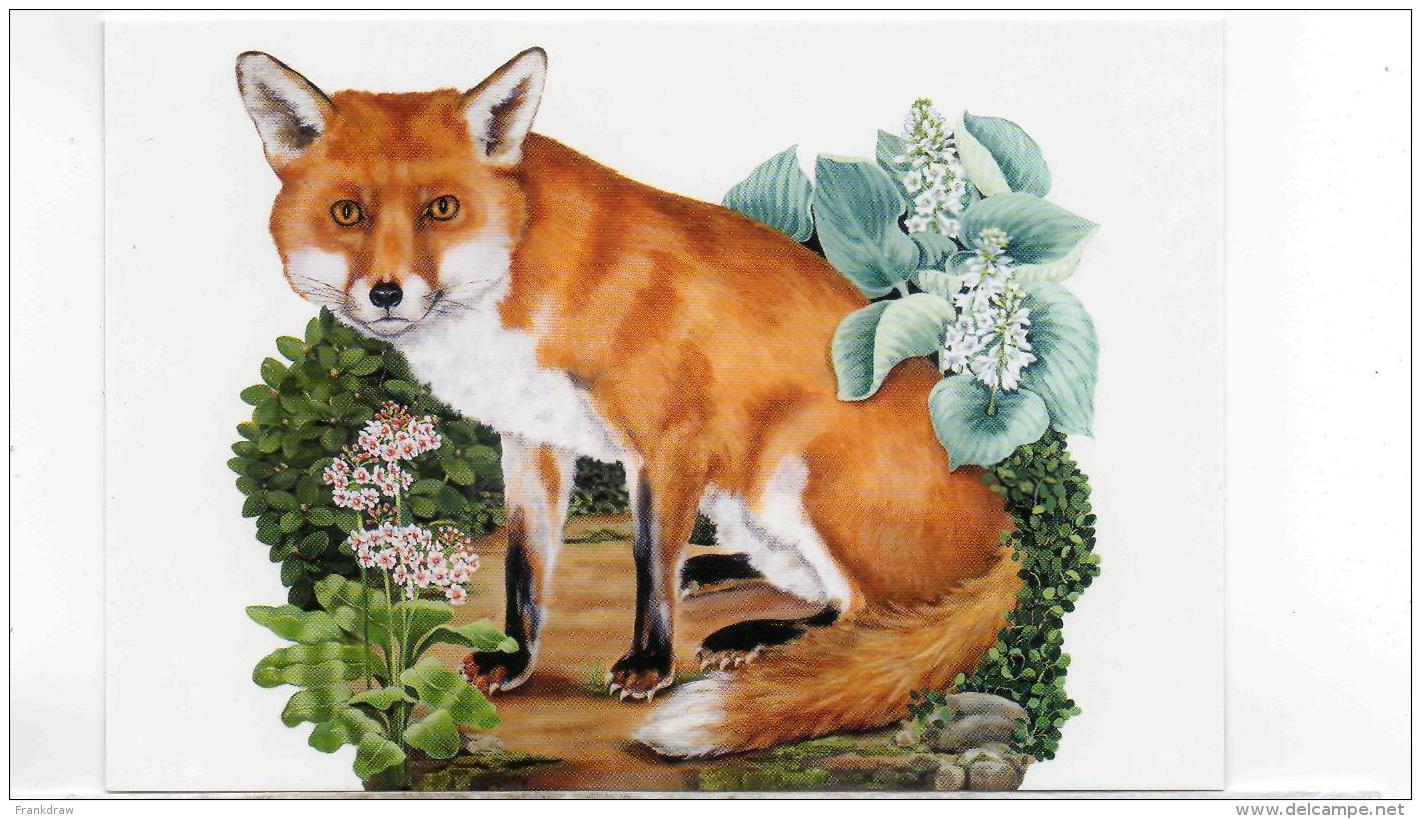 Postcard - Animal Box - Art - Katherine Barnwell - Fox - 2012 New - Zonder Classificatie