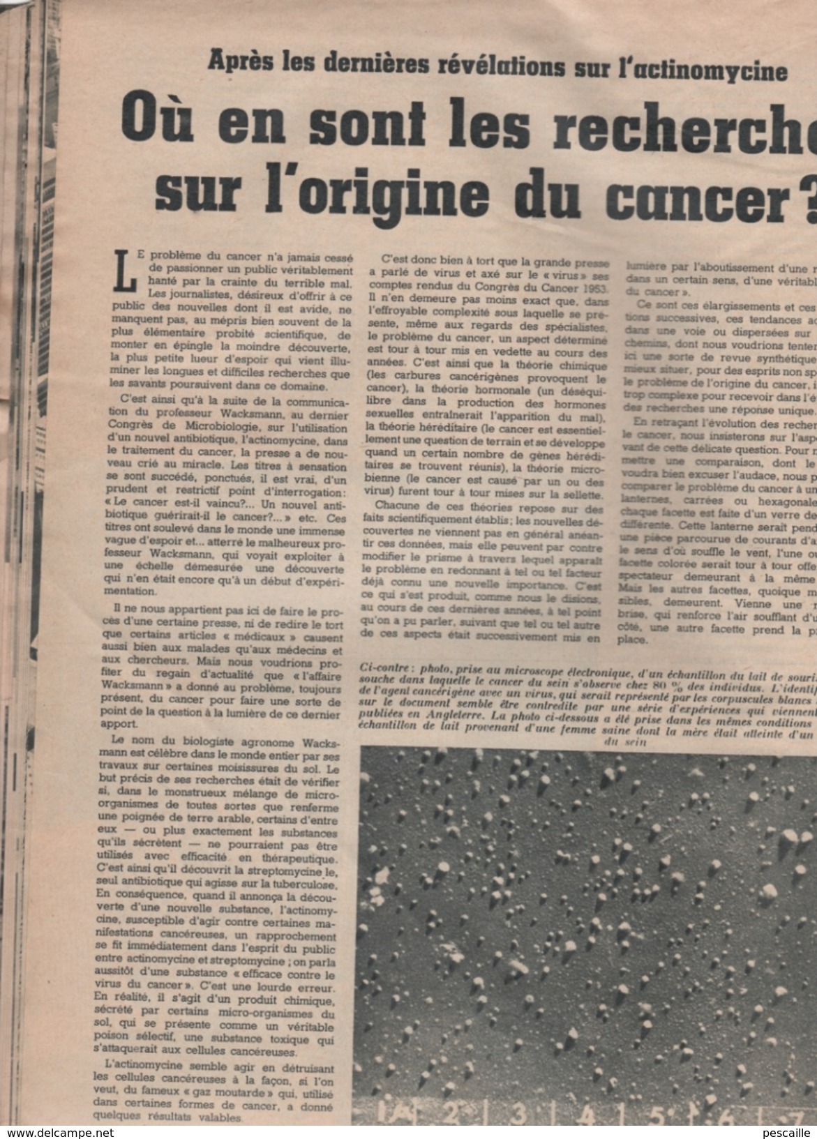 SCIENCES AVENIR 11 1953 - INDE - CINEMA - CAVIAR ESTURGEONS GIRONDE - CANCER - BATHYSCAPHES FNRS 3 & TRIESTE PICCARD -