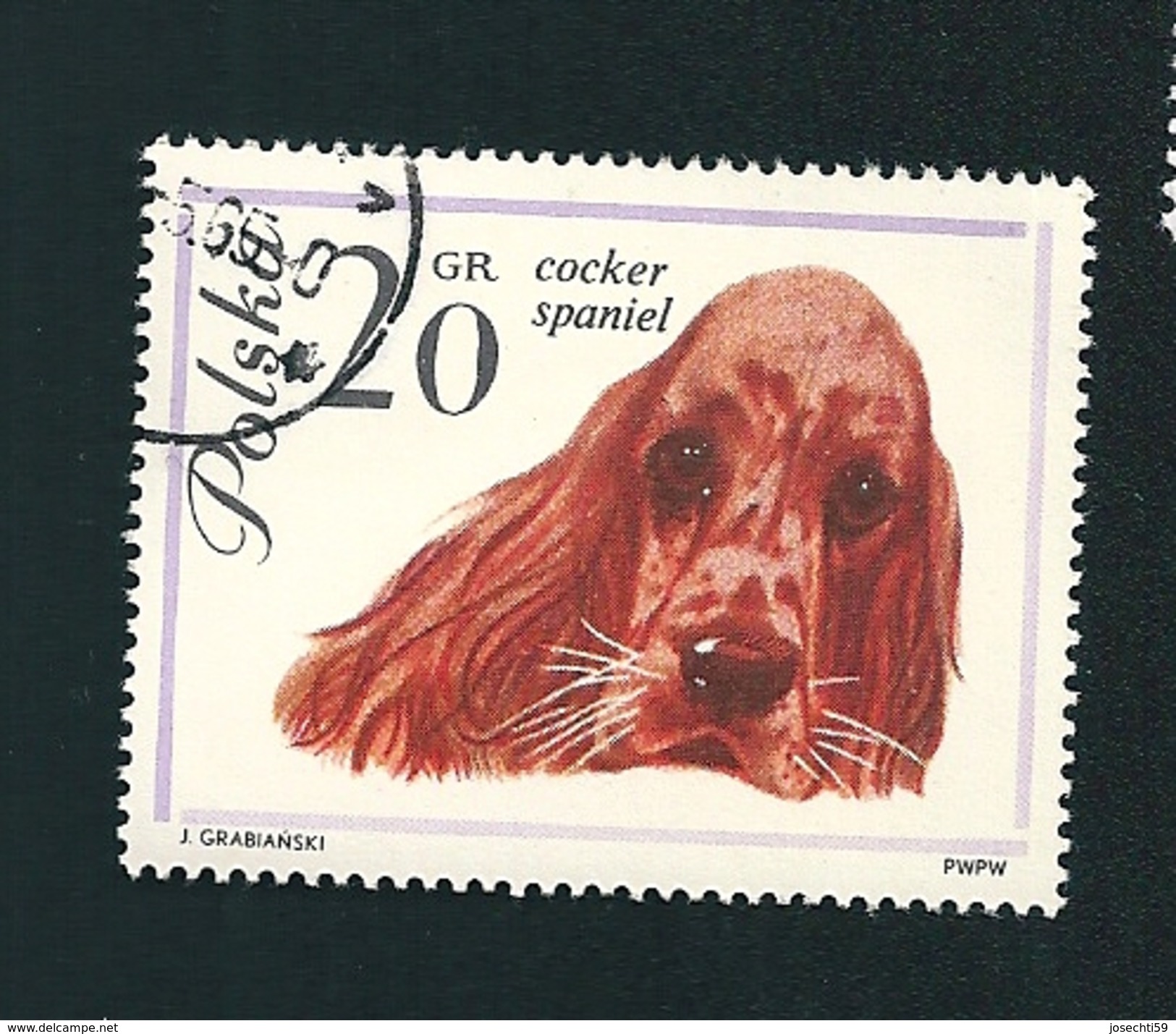 N° 1232 Chien Cocker Spaniel   Timbre  Pologne Oblitéré/neuf   Polska 1963 - Used Stamps