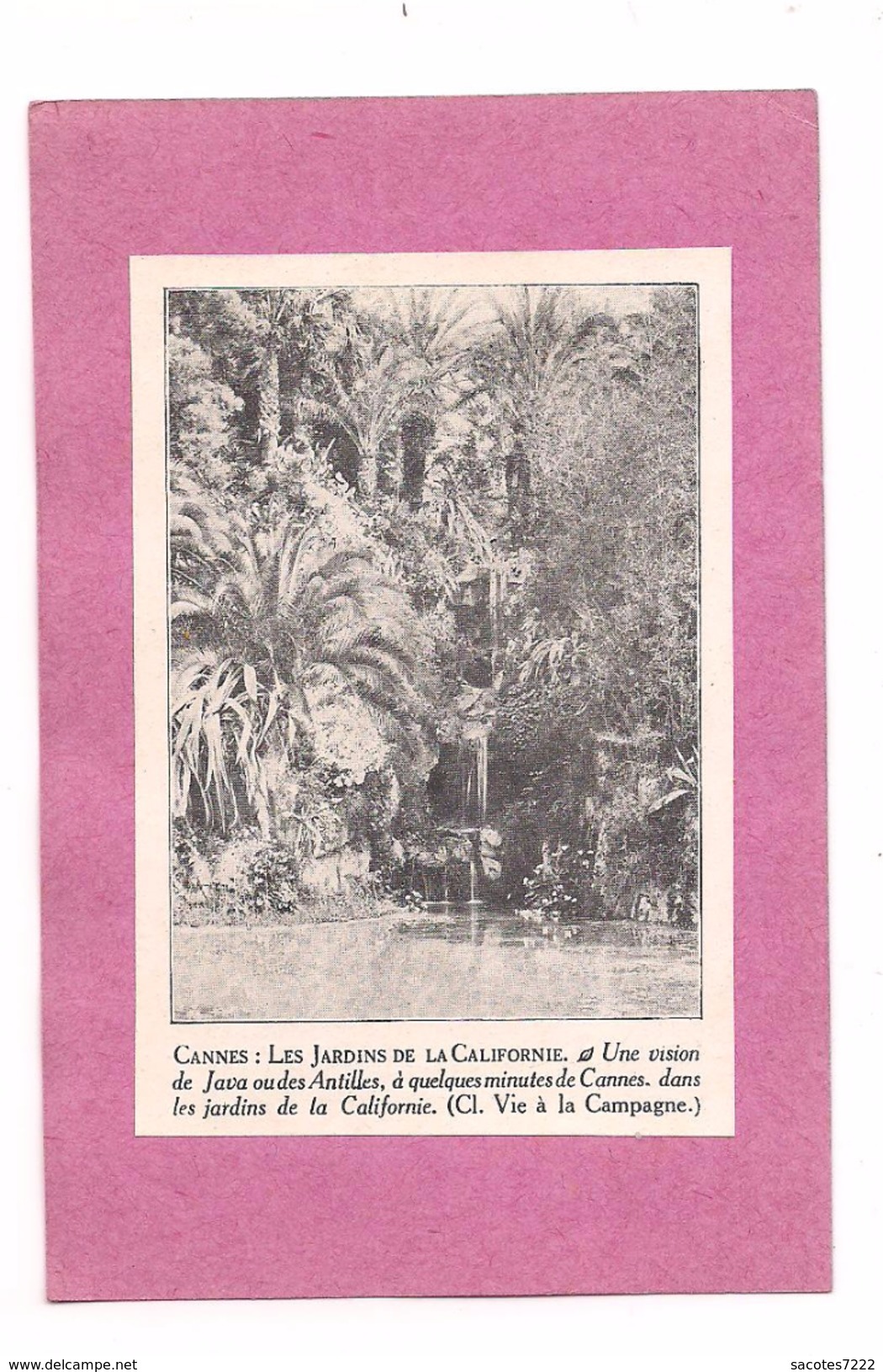 EX LIBRIS   CANNES LES JARDINS DE LA CALIFORNIE - Une Vision De Java Ou Des Antilles .. - Ex-libris