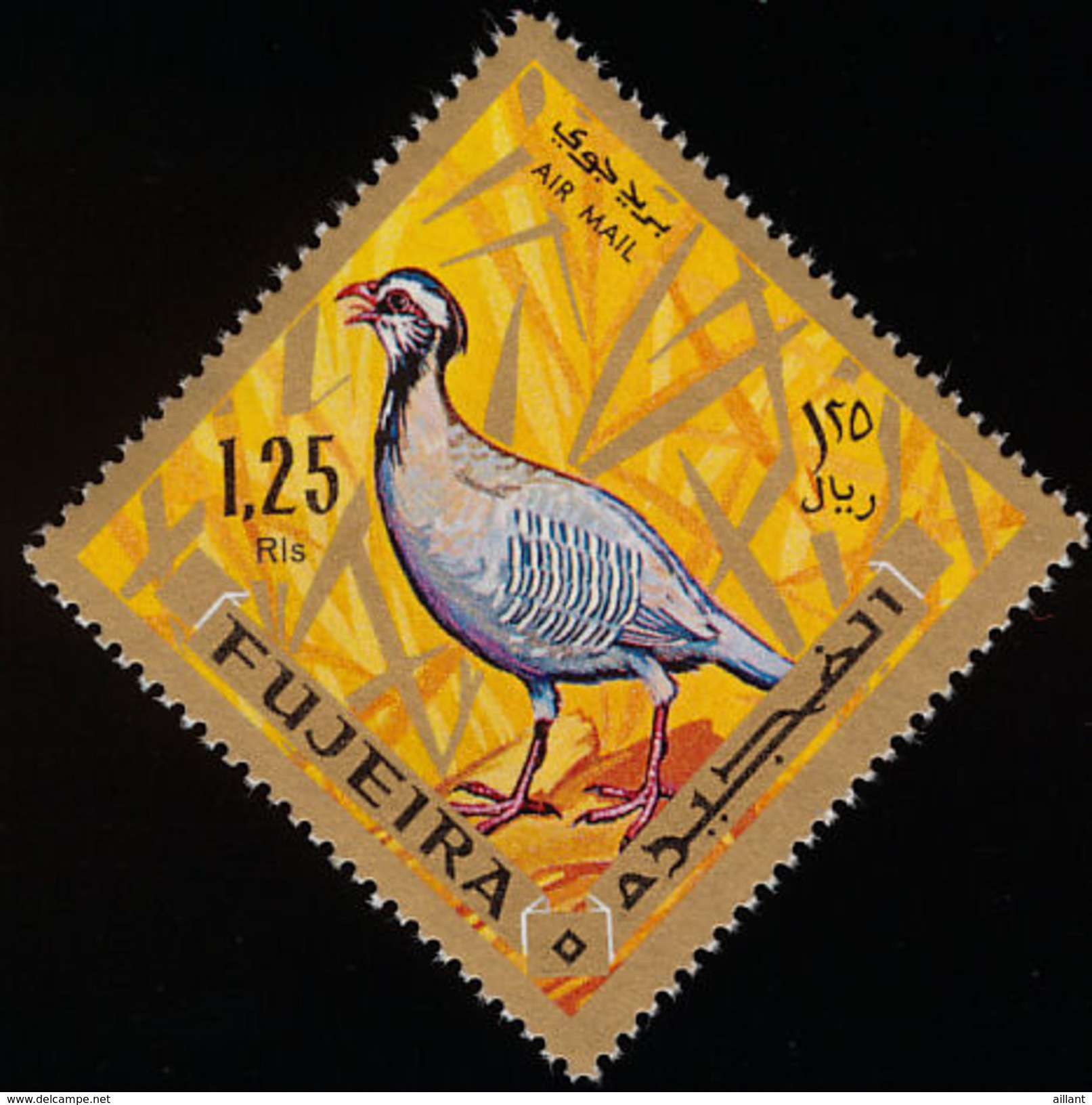 Fujeira. 1969. Arabian Partridge    Alectoris Melanocephala - Rebhühner & Wachteln