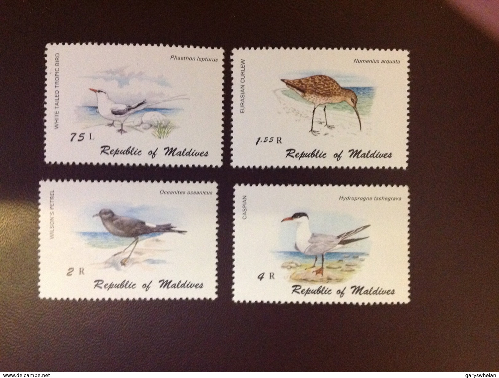 Maldives 1980 Birds 4 Values MNH - Sonstige & Ohne Zuordnung