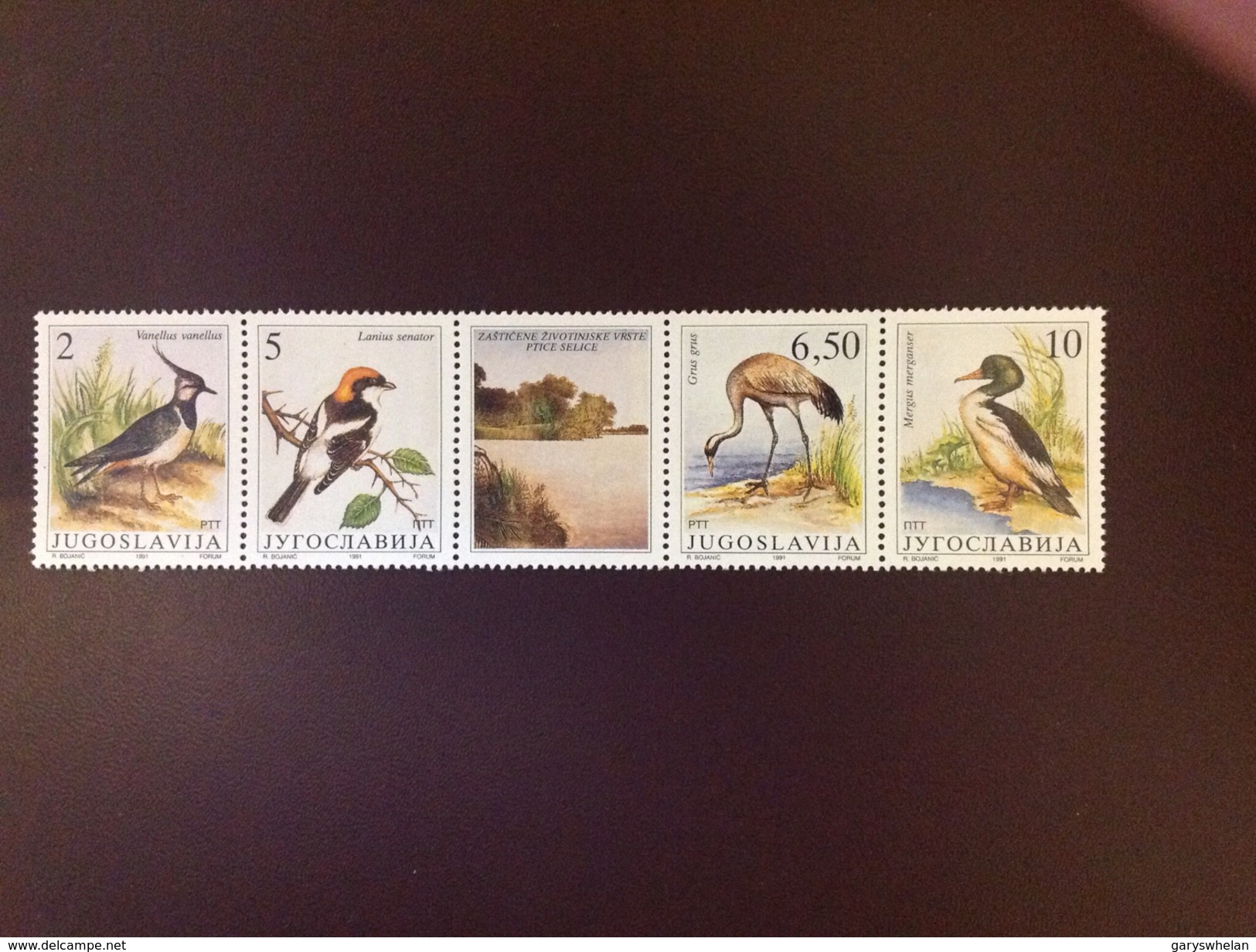 Yugoslavia 1991 Birds MNH - Sonstige & Ohne Zuordnung