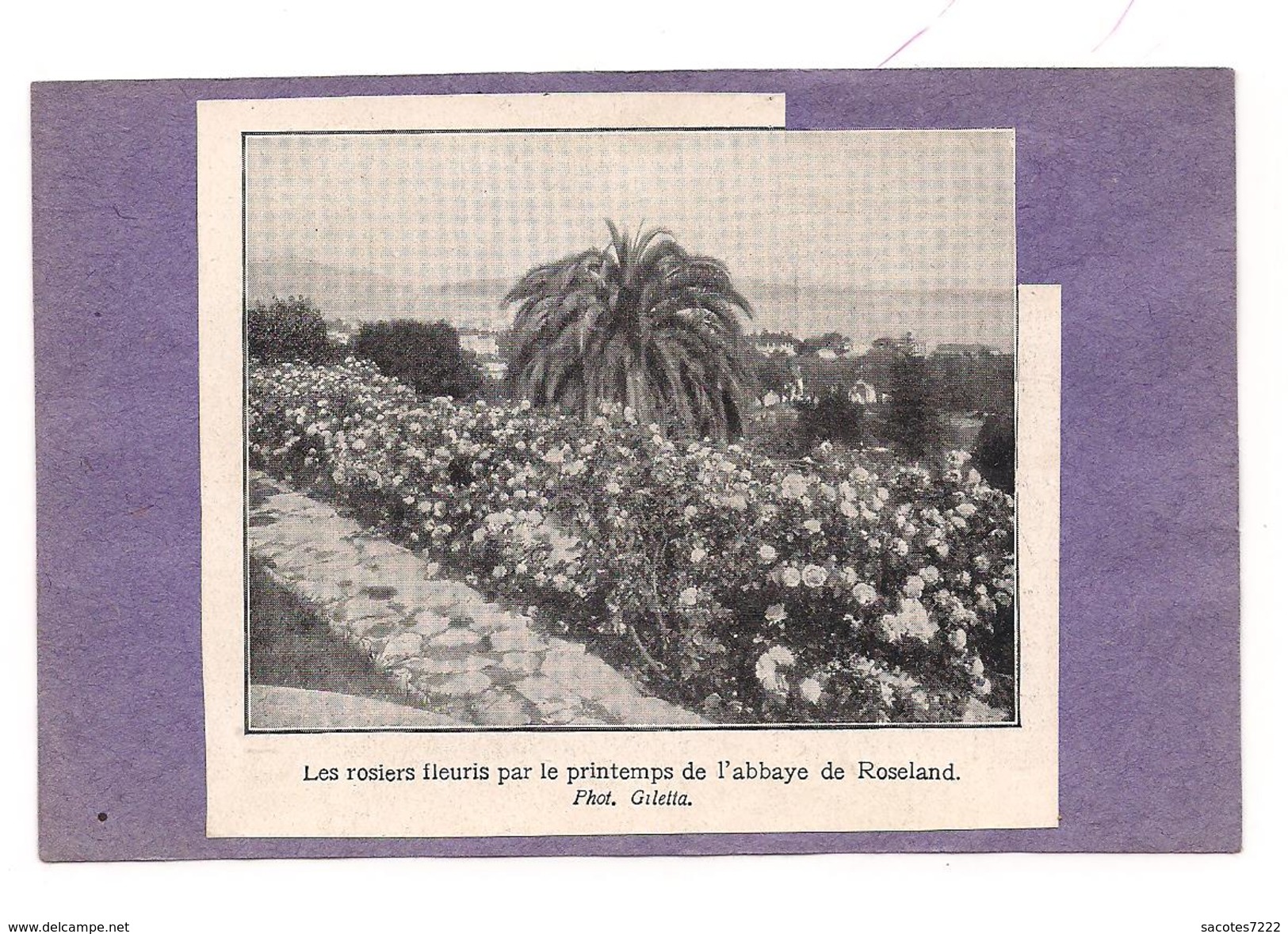 EX LIBRIS LES ROSIERS FLEURIS Par Le Printemps De L'ABBAYE DE ROSELAND - - Ex-libris