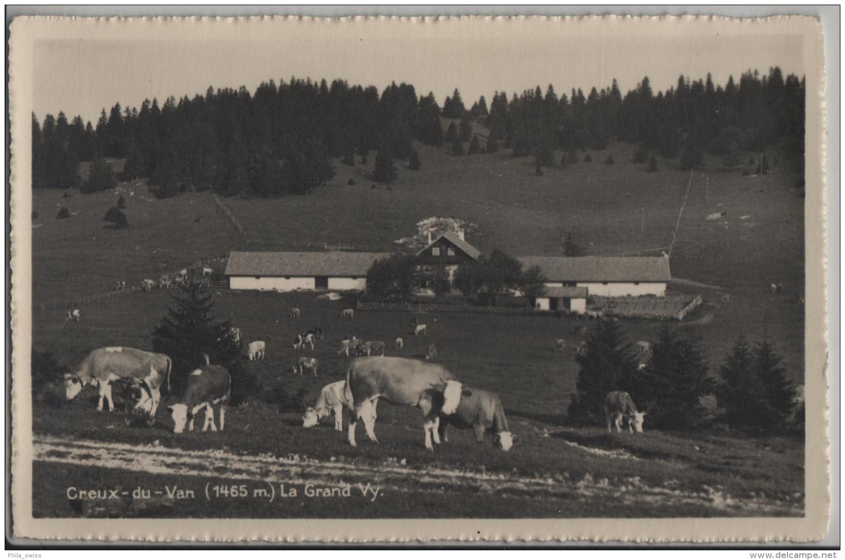 Creux-du-Van (1465 M) La Grand Vy - Animee Mit Kühen Vaches - Photo: J. Erb - Autres & Non Classés