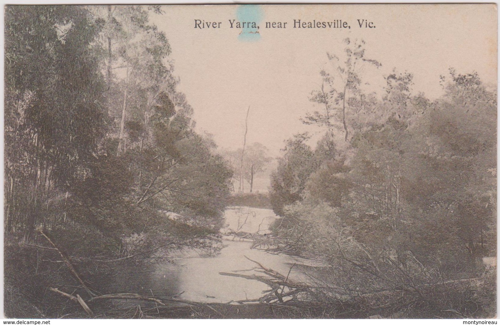 LB 7 : River  Yarra , Near  Healesville , Vic - Other & Unclassified