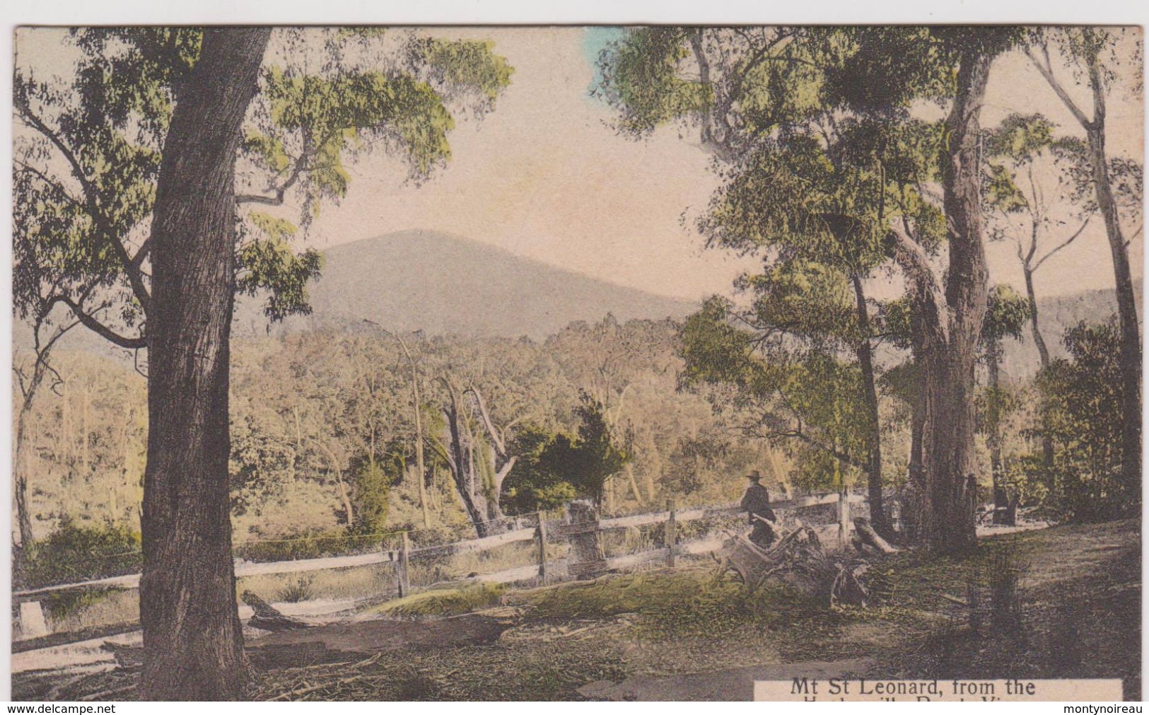 LB 7 :  Mt  St  Leonard , From  The  Healesville  Road , Victoria - Autres & Non Classés