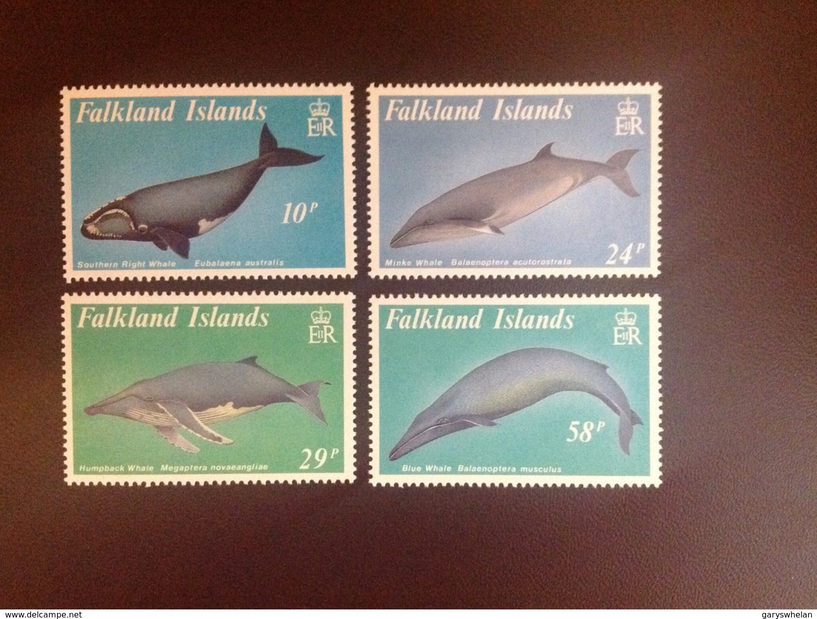 Falkland Islands 1989 Whales MNH - Wale