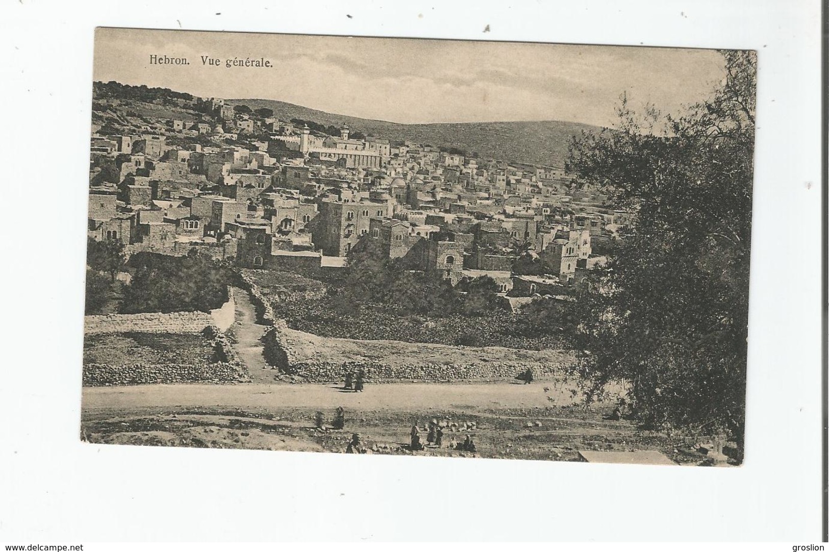 HEBRON (PALESTINE CISJORDANIE) 22  VUE GENERALE - Palestine