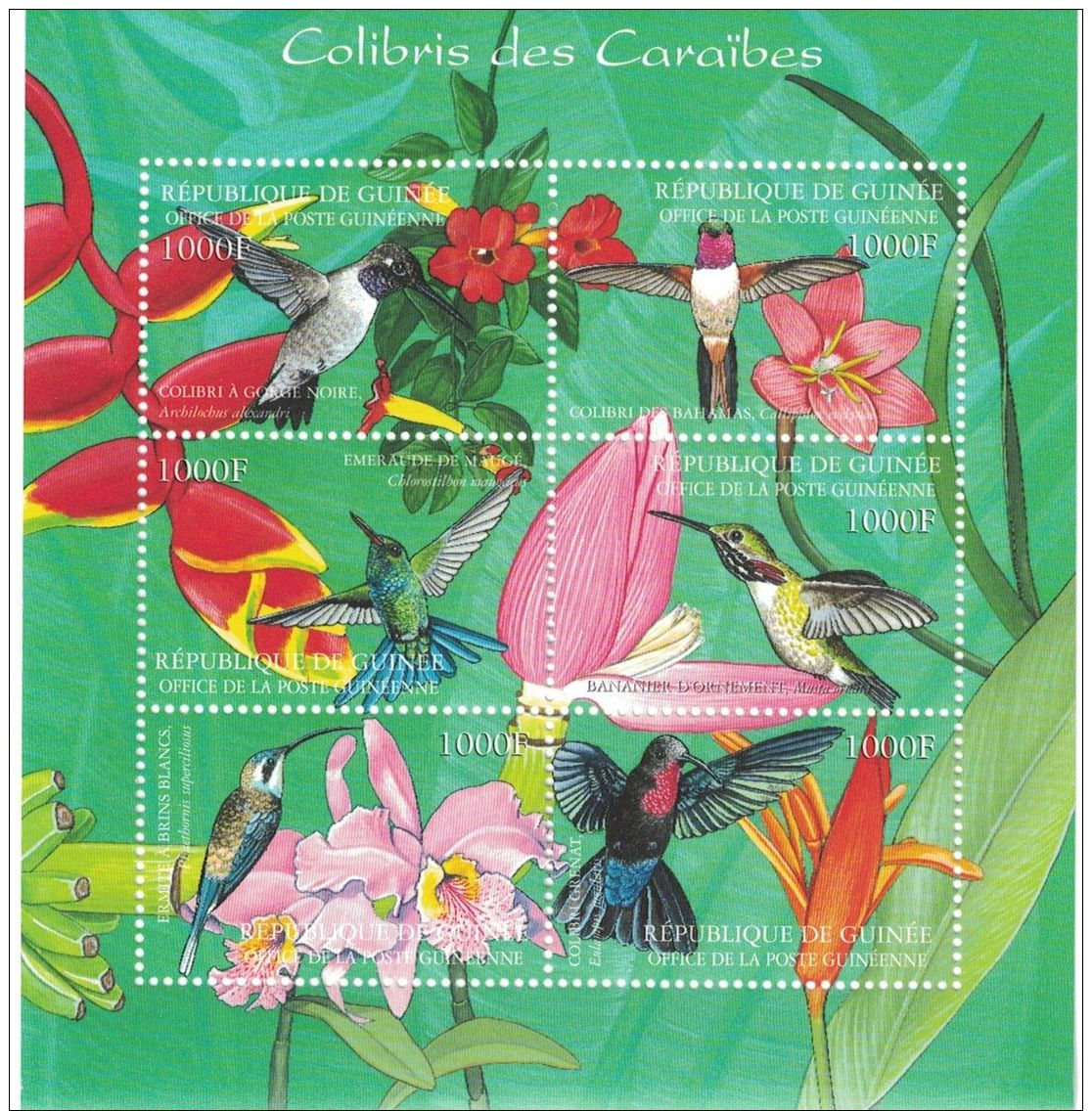 Guinea - 2001 Birds, Hummingbirds - Sc 2043 Sheetlet Of 6 MNH - Sonstige & Ohne Zuordnung