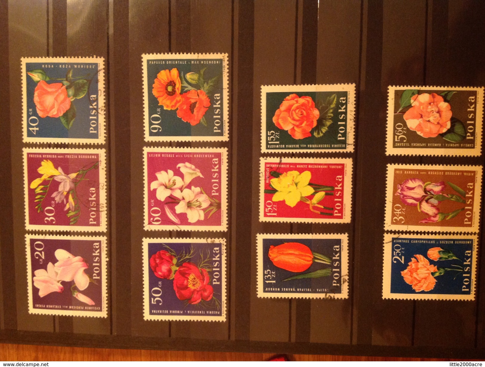 Poland 1964 Flowers Used/CTO SG 1528-39 Sc 1279-90 Yv 1394-1405 - Used Stamps