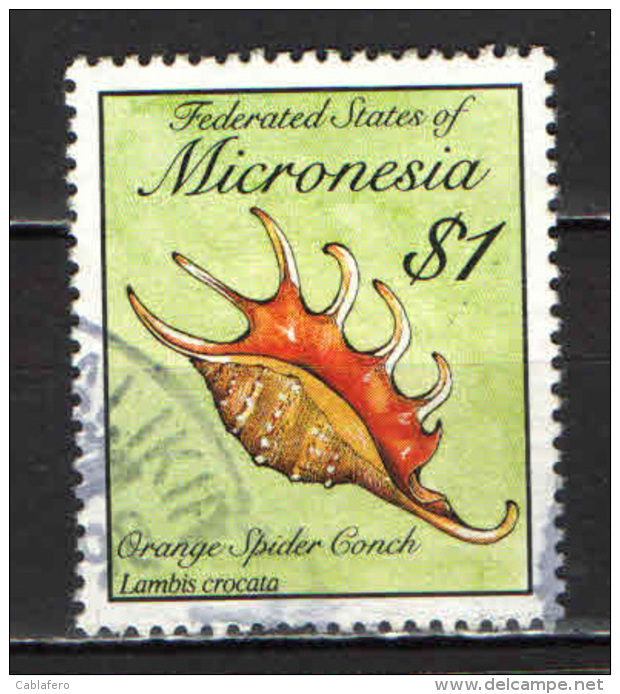 MICRONESIA - 1989 - SHELL - CONCHIGLIA DELL'OCEANO - USATO - Mikronesien