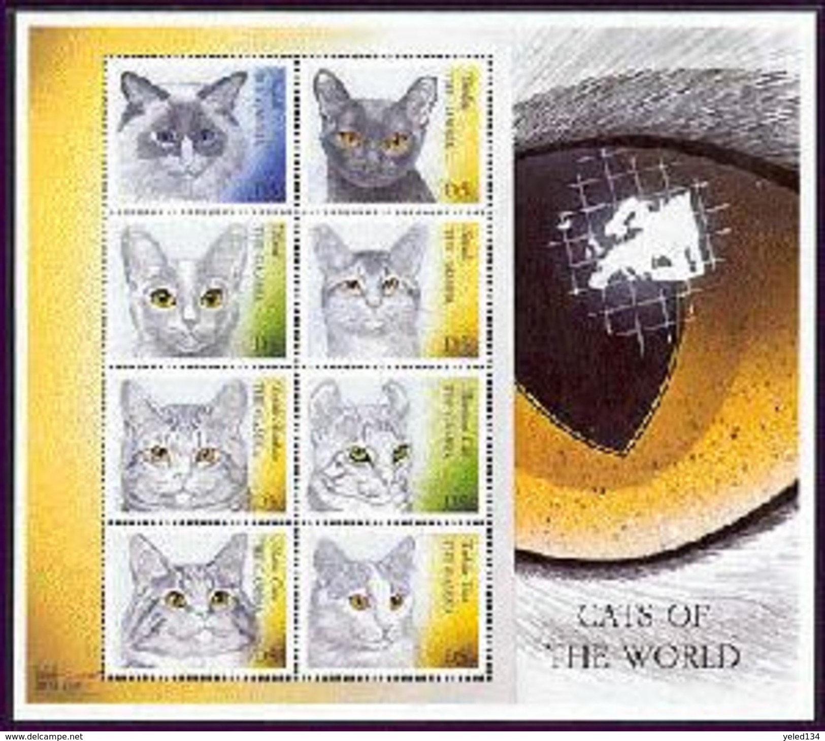 MINT NEVER HINGED MINI  SHEET OF CATS     ( GAMBIA   SC  2287 - Raubkatzen