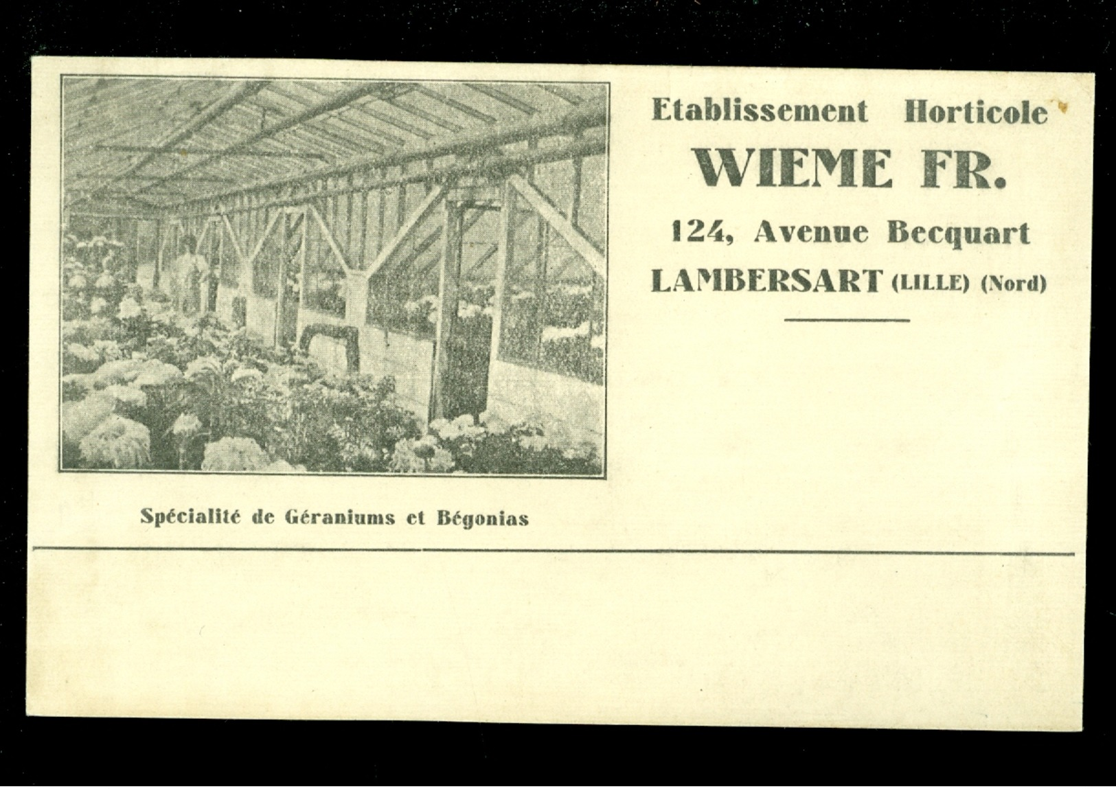 France  Lambersart ( Lille )  Wieme Fr.  Etablissement Horticole  ( Blanco Au Verso ) - Lambersart