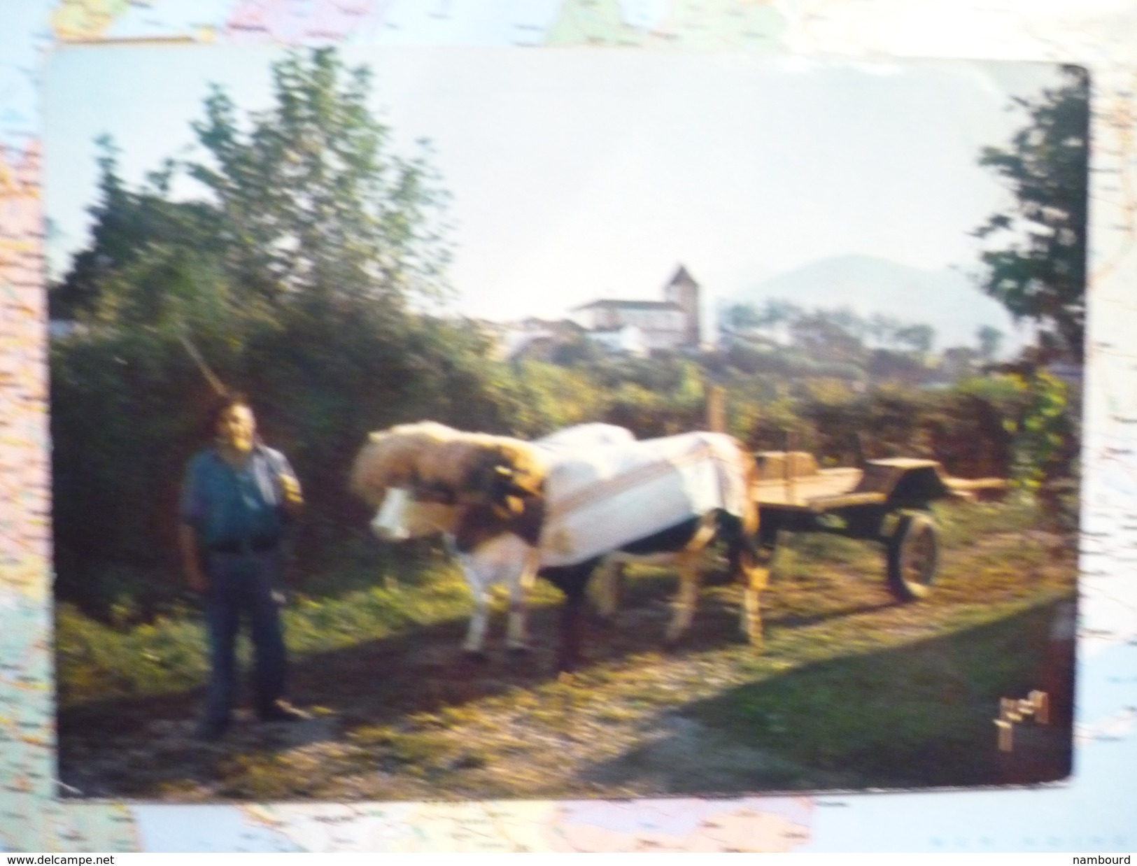 Pays Basque / Attelage Basque - Autres