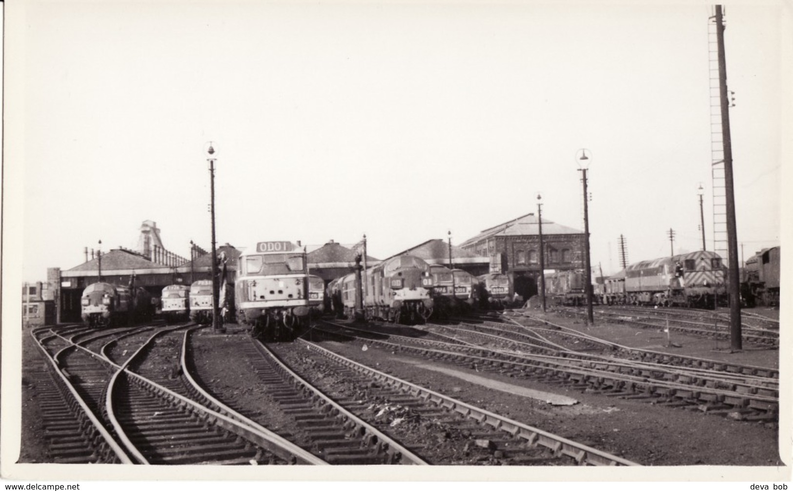 Railway Photo Doncaster Shed C1966 WD Austerity BR Class 08 31 37 47 Loco - Eisenbahnen