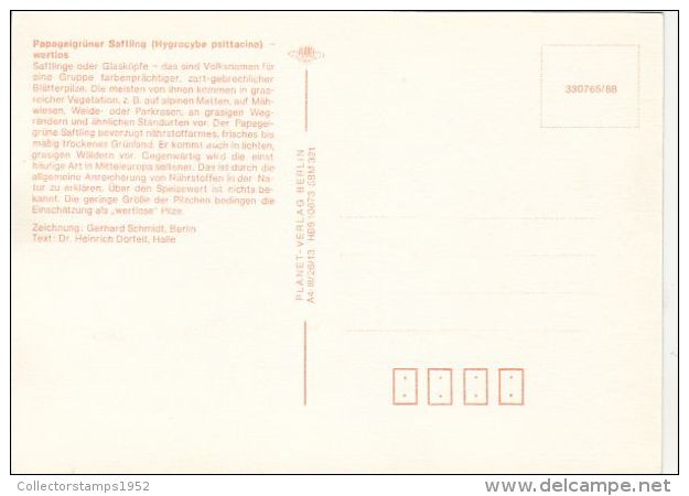 56420- MUSHROOMS - Pilze