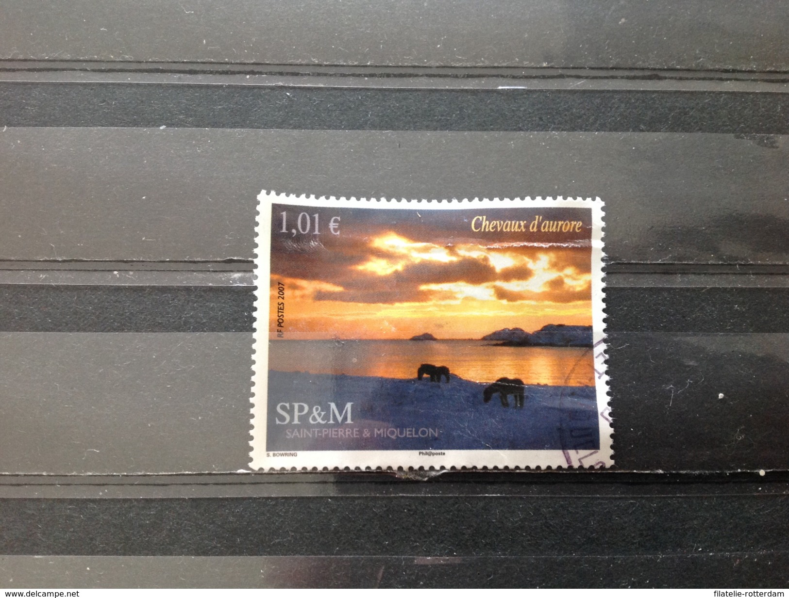Saint-Pierre Et Miquelon - Paarden Van Aurora (1.01) 2007 Very Rare! - Used Stamps